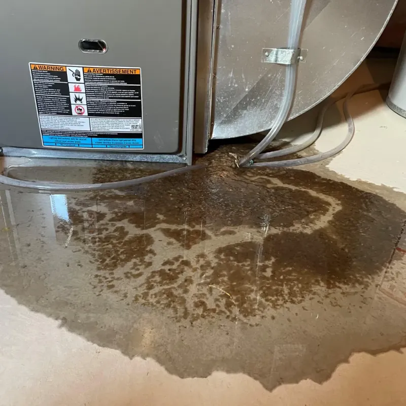 Appliance Leak Cleanup in Jackson, LA